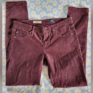 Adriano Goldschmeid 26R Burgundy Corduroy Skinny Pants